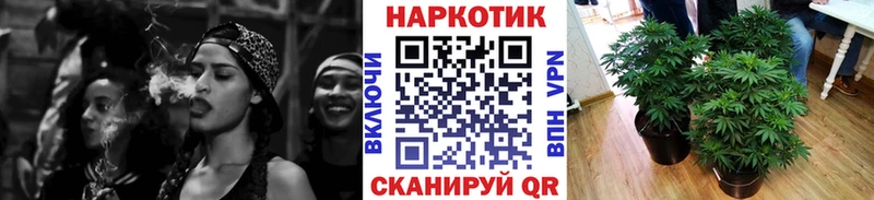 Марихуана Красный Сулин