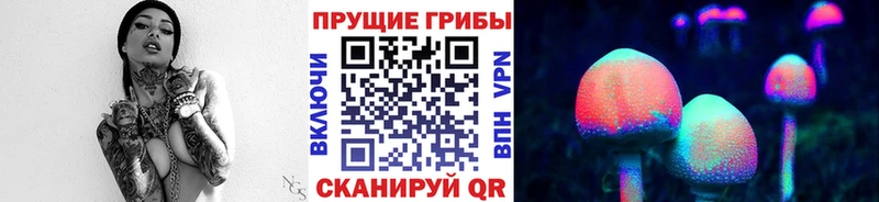 Галлюциногенные грибы мицелий  Купить  Красный Сулин 